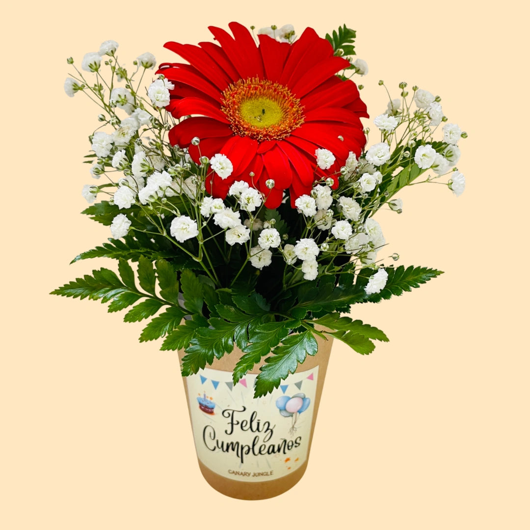 Mini Composición con Gerbera Roja – Detalle “Feliz Cumpleaños” Especial