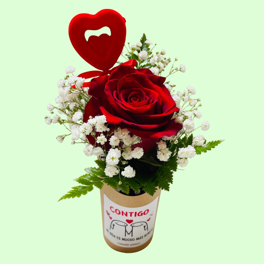 Mini Composición con Rosa Roja Premium – Detalle Romántico Ideal para Sorprender