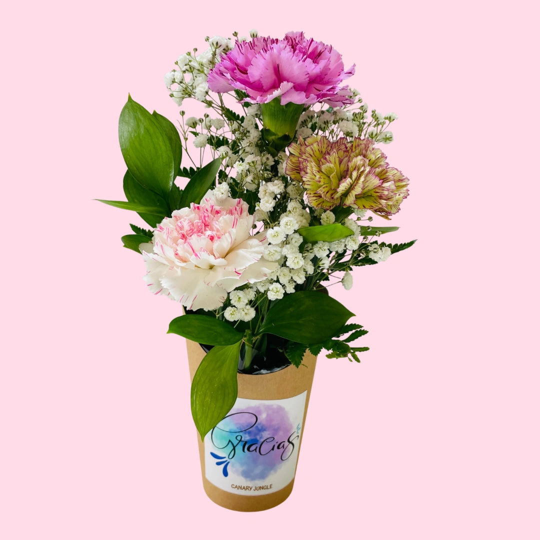 Mini Composición con 3 Claveles – Detalle “Gracias” para Agradecer con Flores