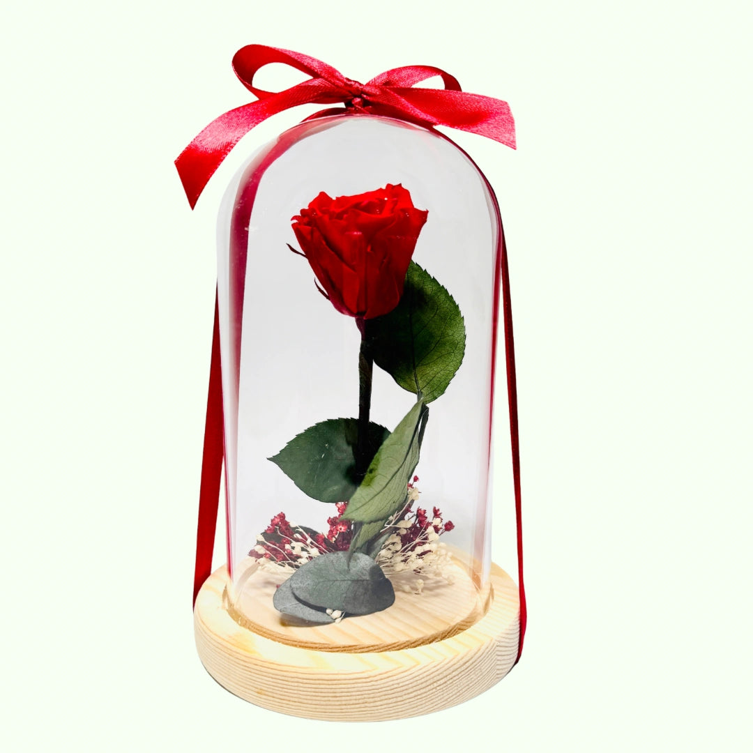 Mini Rosa Preservada en Cúpula – Detalle Romántico y Duradero