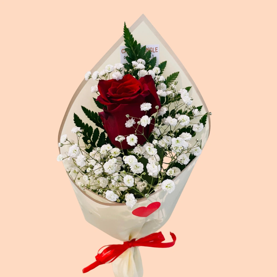 Rosa Roja Premium con Lluvia – El detalle perfecto para enamorar