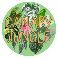 Canary Jungle